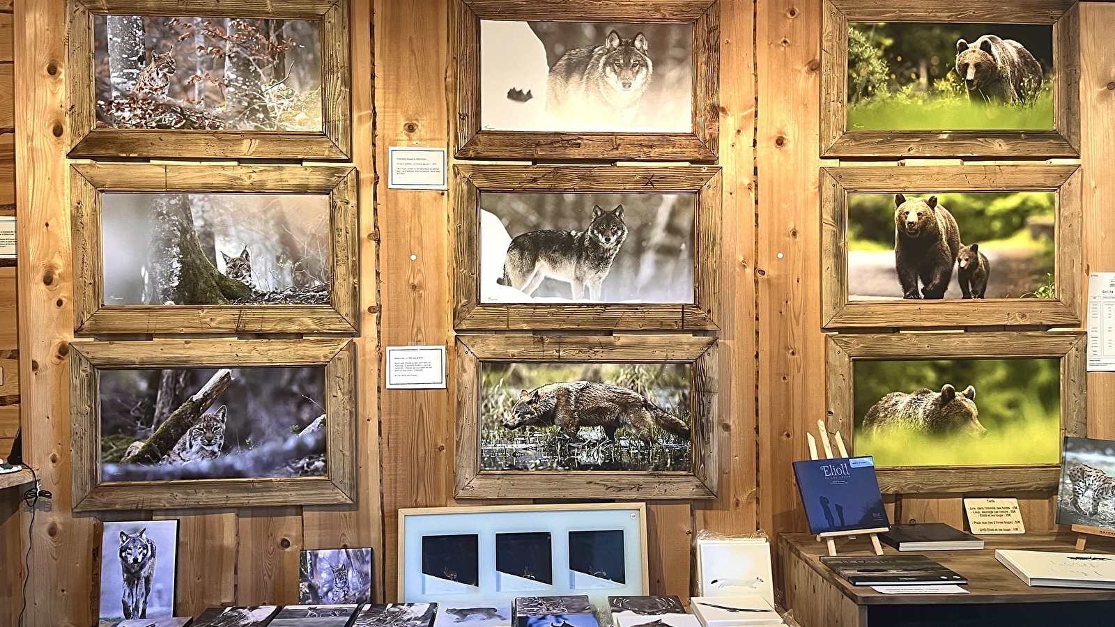 Wild Wolf Gallery