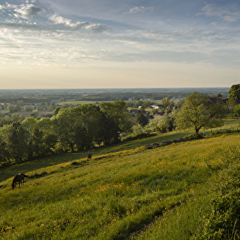 Eglise Saint-Cloud - MAYNAL