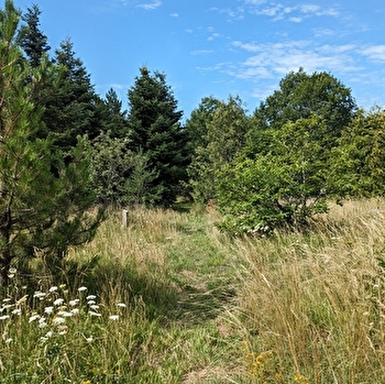 Du chemin de la République au Doubs - BAUME-LES-DAMES