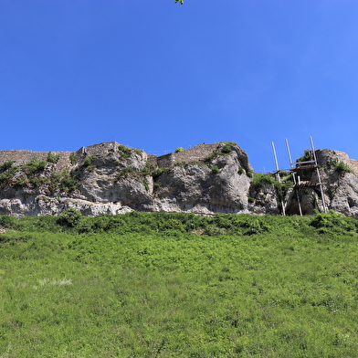Château médiéval de Montfaucon