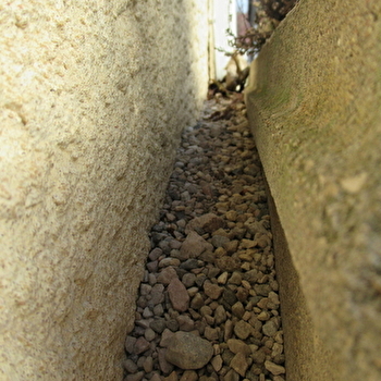 Atelier photographique Point de vue animal - CHALON-SUR-SAONE