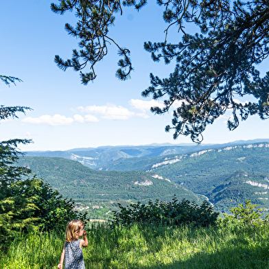 Belvédère de la Scia