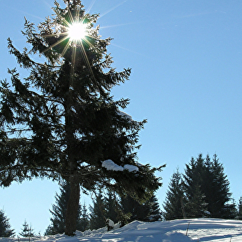 Site Nordique de Gilley - GILLEY