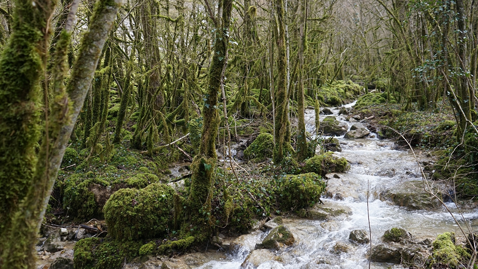 Sentier des Maquisards