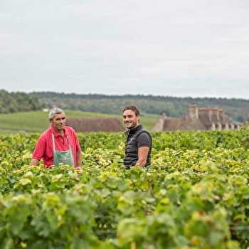 Clerget Yvon - VOLNAY