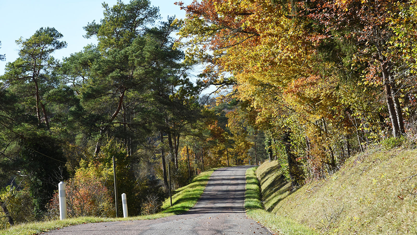 La Véloroute du Crémant en Bourgogne