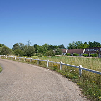 Motel Restaurant Le Charollais - VITRY-EN-CHAROLLAIS