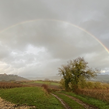 Une chambre à Vézelay - VEZELAY