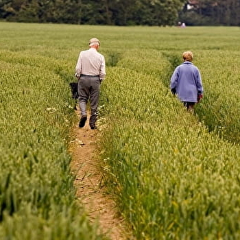 Passeport détente : Randonnée pédestre - COULANGES-SUR-YONNE