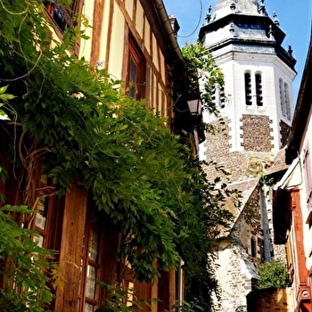Des ruelles pavées de Toucy aux trognes du Bois des Quatre Francs - TOUCY