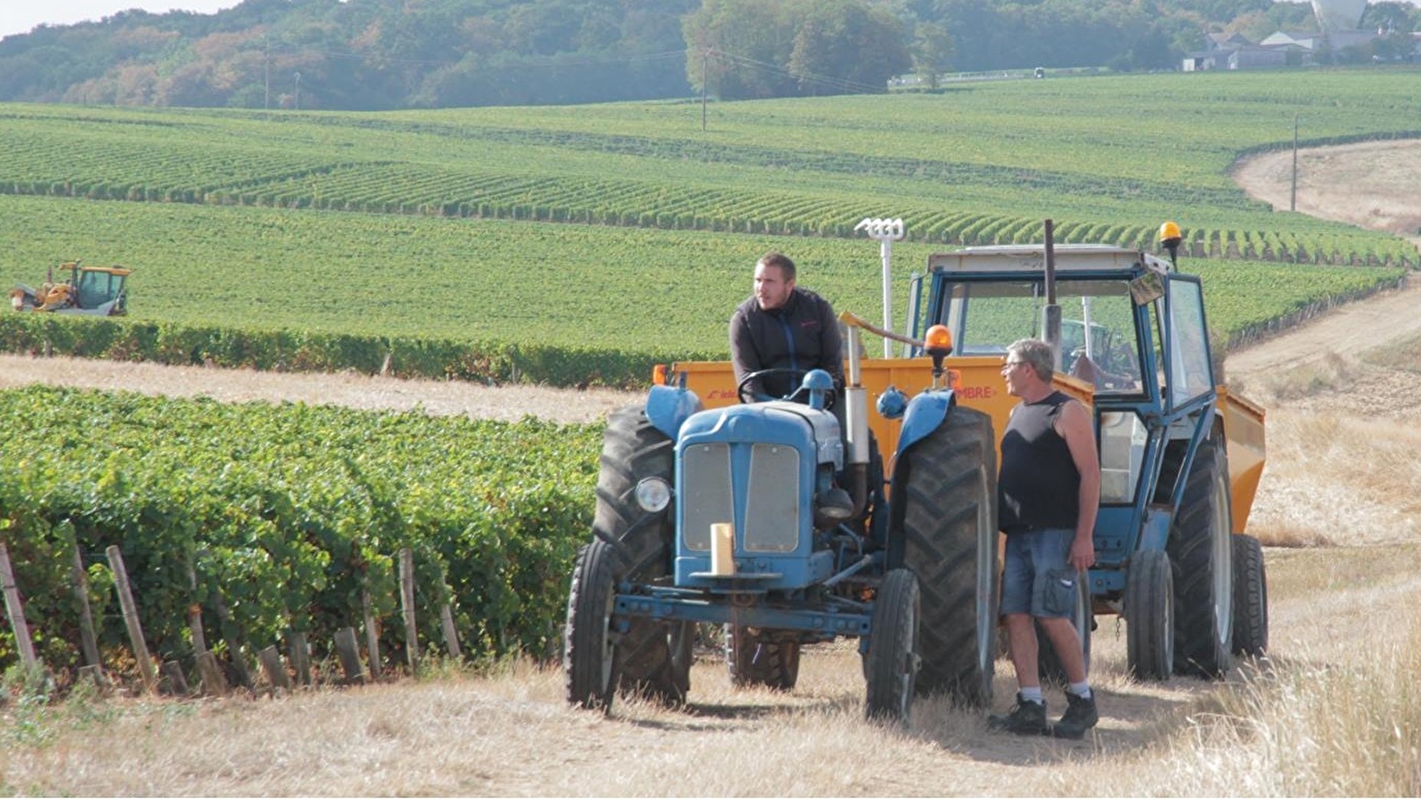 Domaine du Petit Soumard