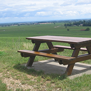 Aire de pique-nique des Guettes - SAVIGNY-LES-BEAUNE