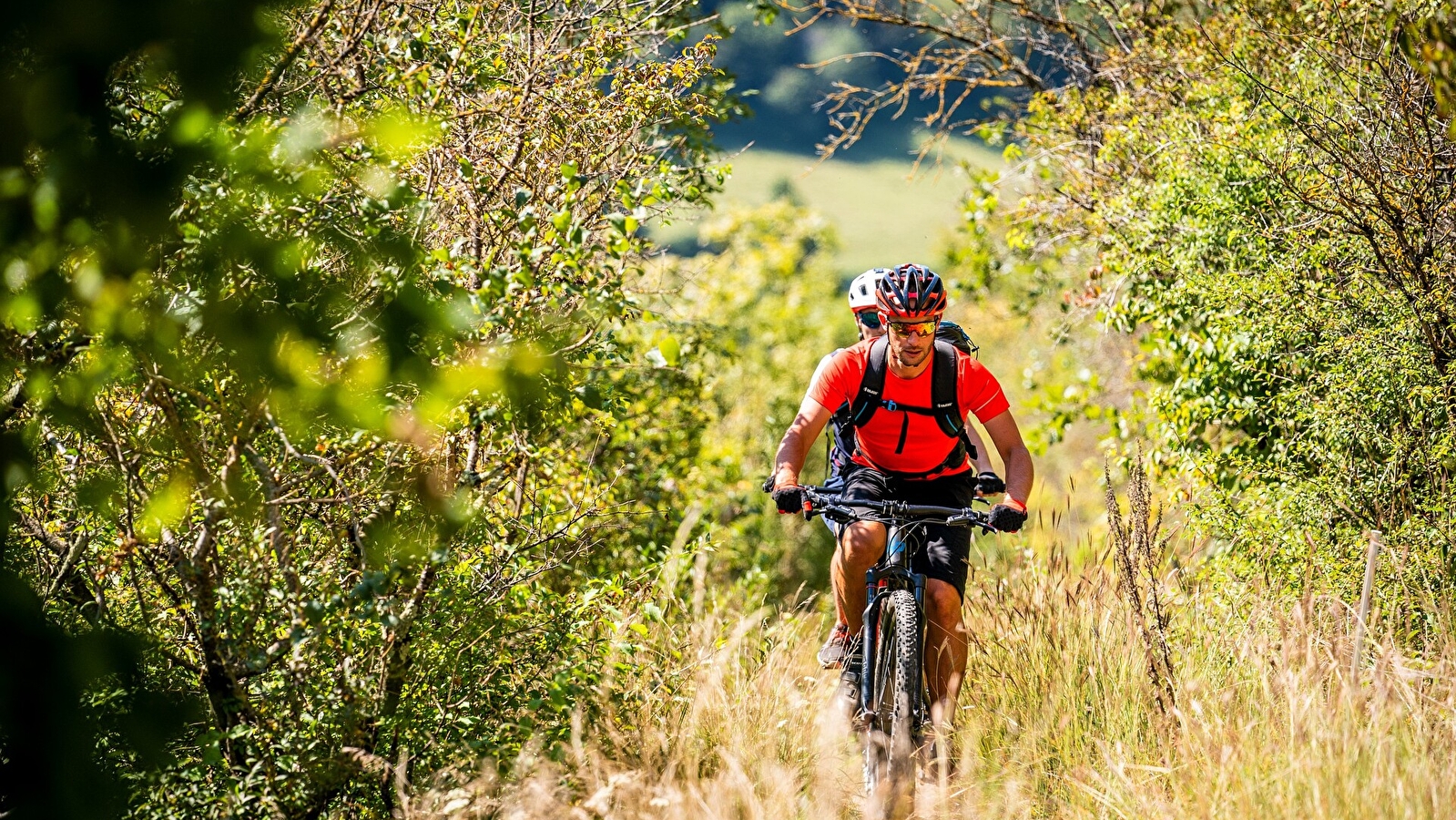 La Forêt de Bonnefontaine - 3B