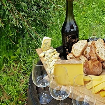 Balade oenologique à VTT - Jura Ride - ARBOIS