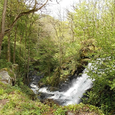 Escalade dans les Gorges de Narvau
