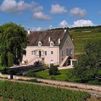 La Maison Chassagne de Puligny - Une maison de famille - PULIGNY-MONTRACHET
