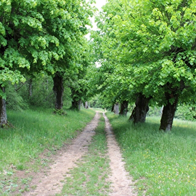 Aire de pique-nique de Couchey 2