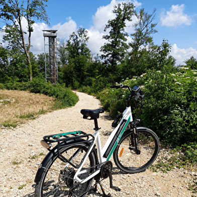 Petite boucle à la découverte de la Tour des Bois