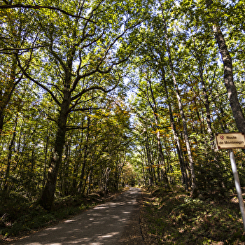 Virée campagnarde - MARCIGNY