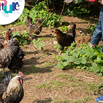 Sortie 123Nature : balade a la ferme - GRAND-CHARMONT