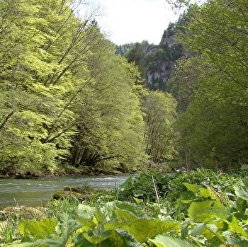 La Perle Franco-suisse - GOUMOIS