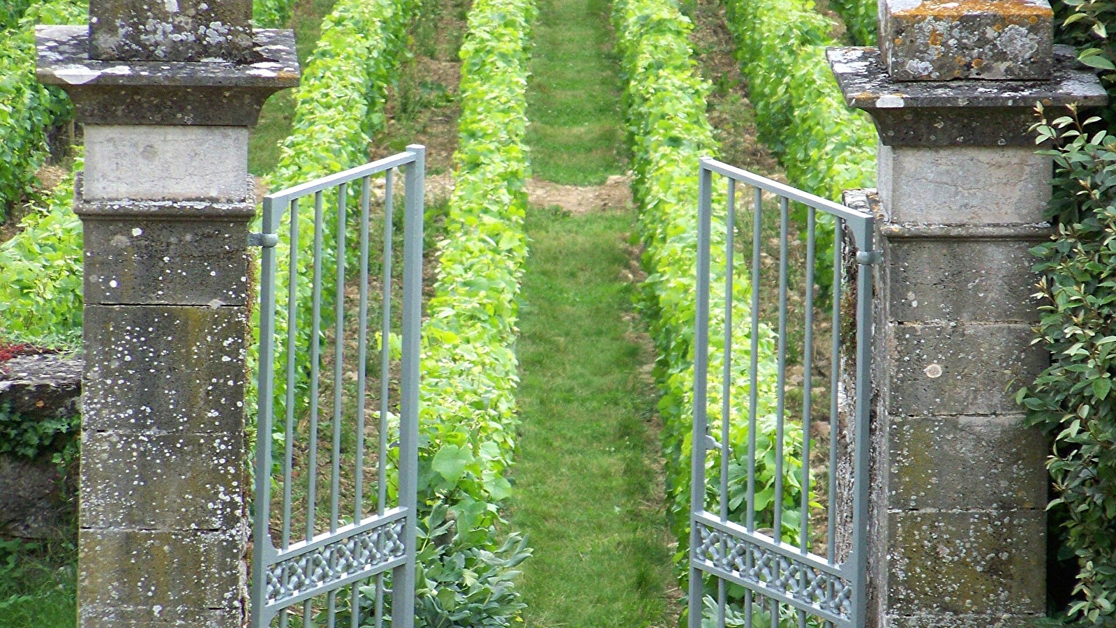 Domaine de l'Evêché - Joussier Quentin et Vincent