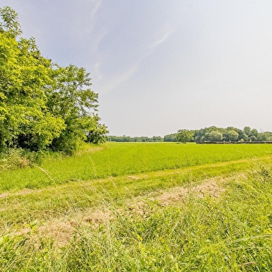 la Roue l’Hôte Verte