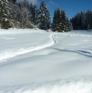 Liaz d'Amont depuis La Praille - Circuit raquettes