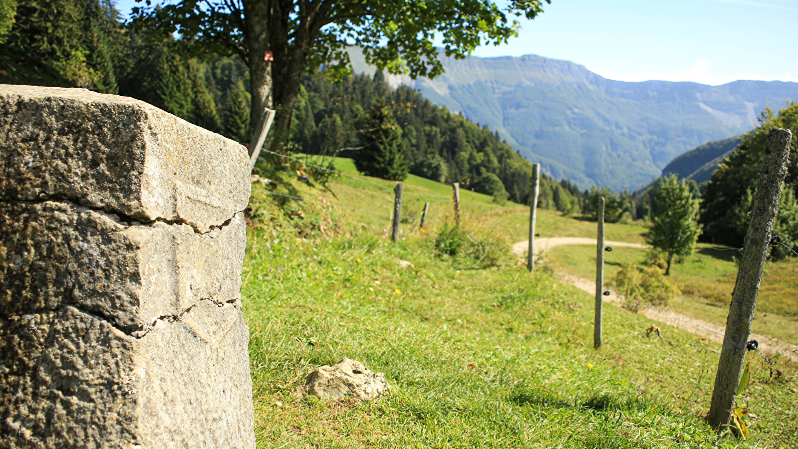 Borne au Lion - Crêt de Chalam