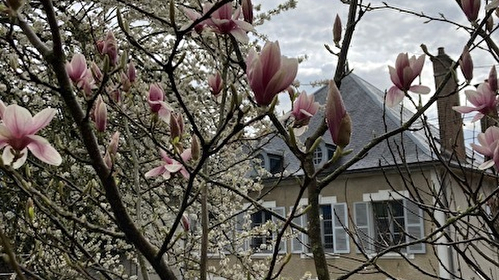 Le Petit Monde de Molly