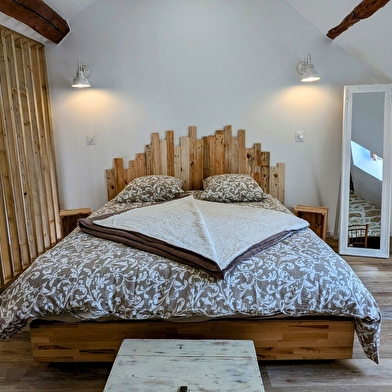 Le Brocangîte à Jules