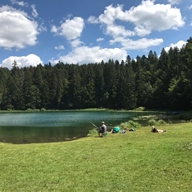 Parcours VTT 68 bleu - Lac Genin et les bois de Puthod et des Millières - Espace FFC Ain Forestière
