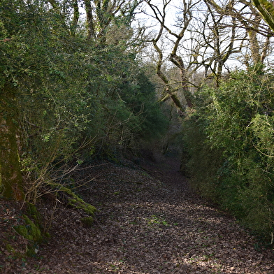 Sentier nature de la Fontaine de Chamont