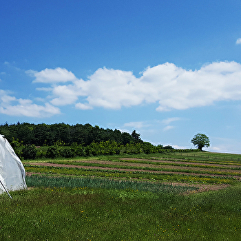 Nicolas Lestiboudois - MONTMELARD