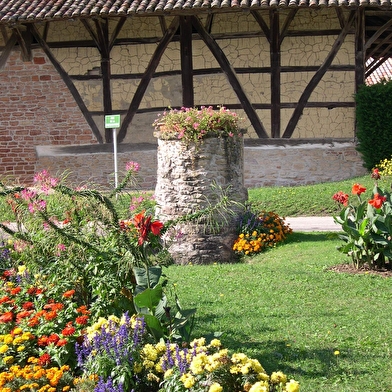 Circuit randonnée : La Ripalonga