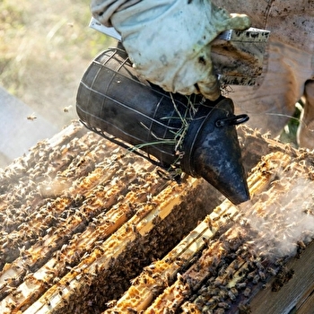 Miellerie Le champ du Bois - POISSON