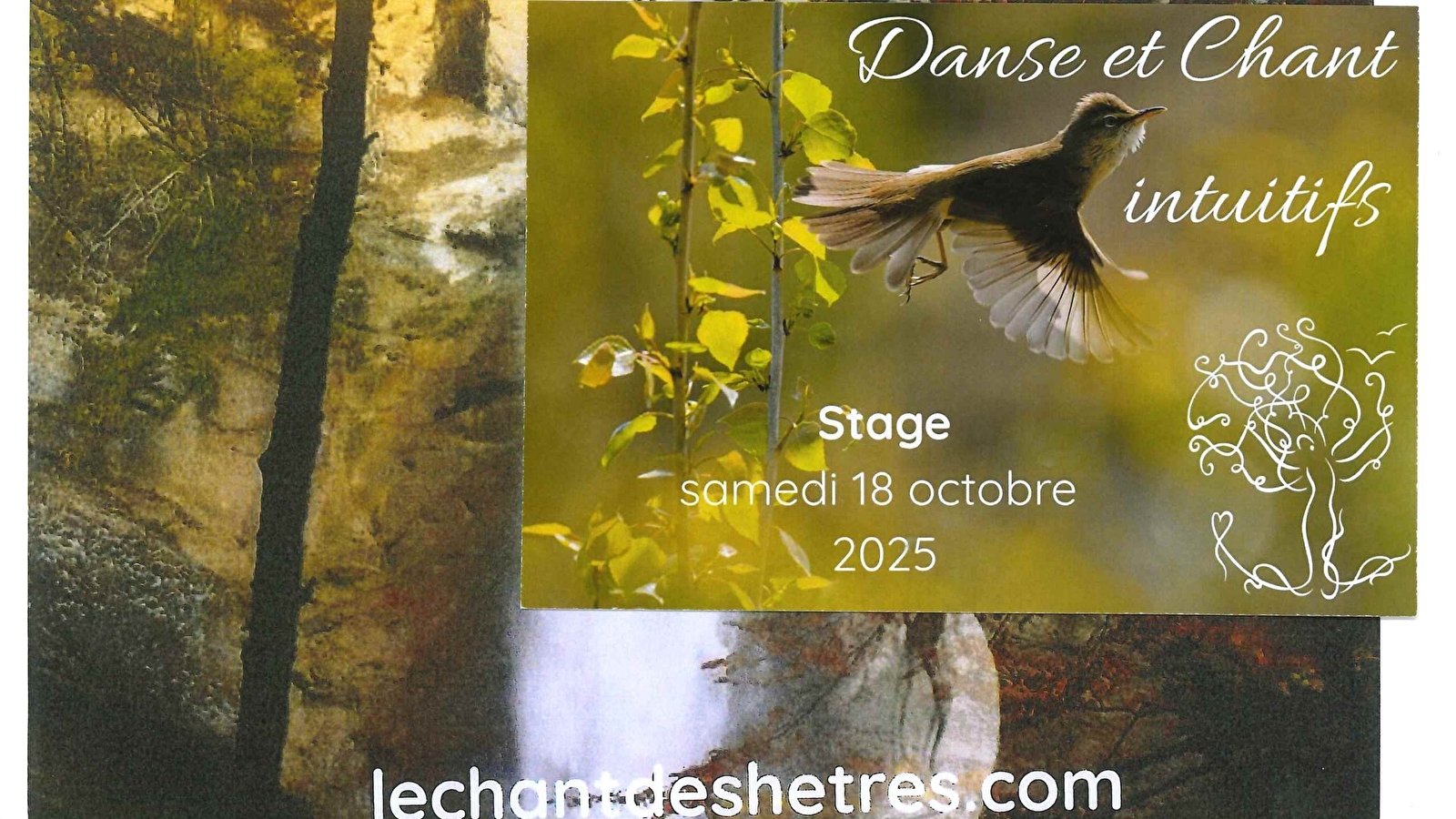 Ateliers « Le Chant des hêtres »