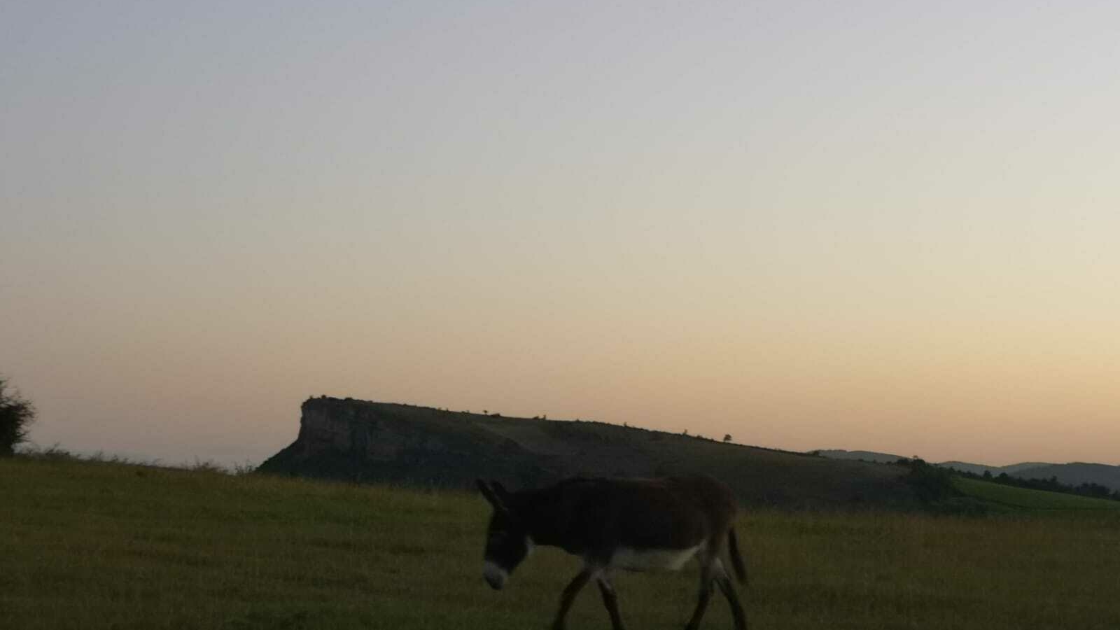 Apéros à Vergisson