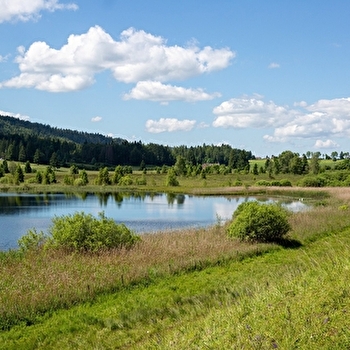 Circuit de découverte du lac des Rouges Truites - LAC-DES-ROUGES-TRUITES