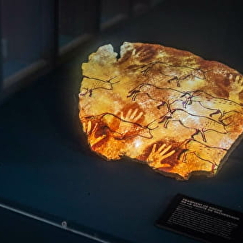 La Pré-Histoire de La Vache qui rit - LONS-LE-SAUNIER