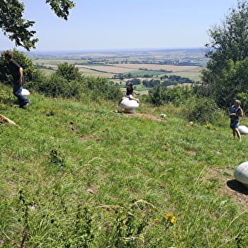 Montagne de Roche - SUSSEY
