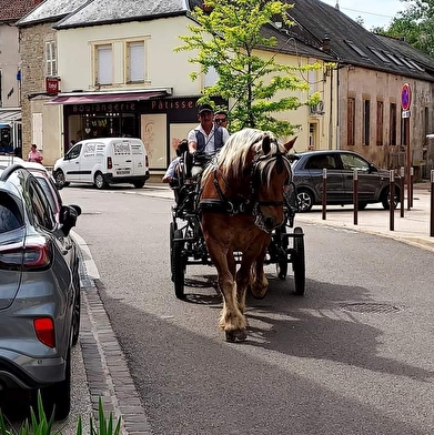 Les calèches de la Bohême