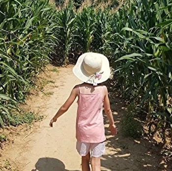 Le labyrinthe aux épis - MELAY