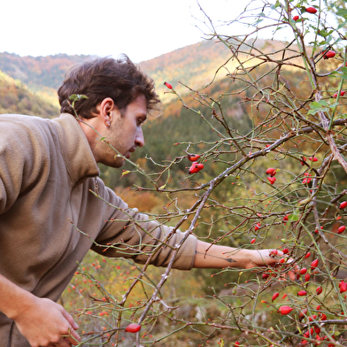 La Cabane aux Herbes