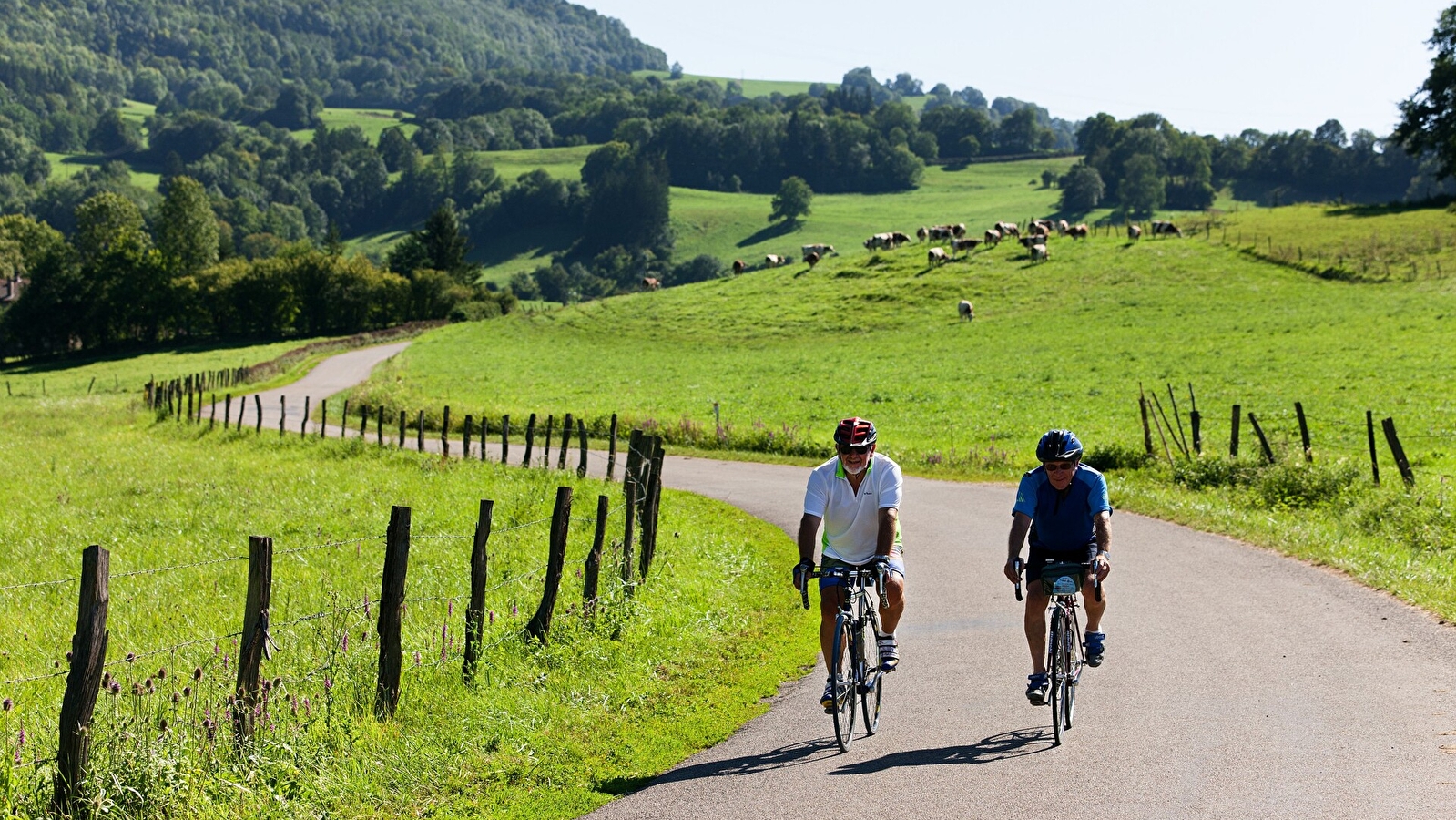 Boucle 15 : Tour de la Petite Montagne