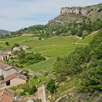 Le Jardin des Berthelots - SOLUTRE-POUILLY