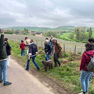 Balade des sens au Domaine de la Luolle