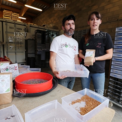 EARL Bio Bug'z - Agri Bug'z