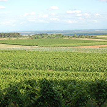 Bonnardot - VILLERS-LA-FAYE