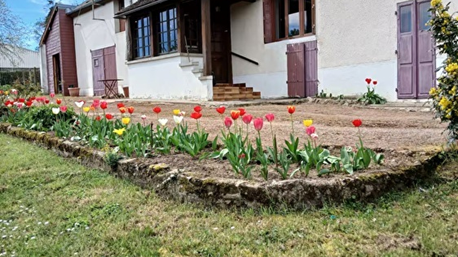 LES TULIPES